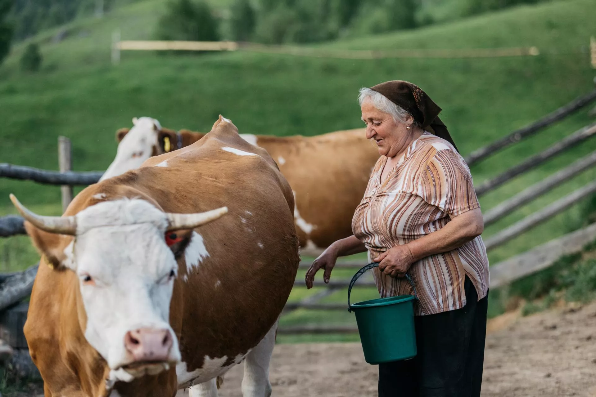 Renty i emerytury w zbiegu. Co po 2027 roku?