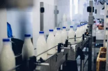 Mleko na linii produkcyjnej