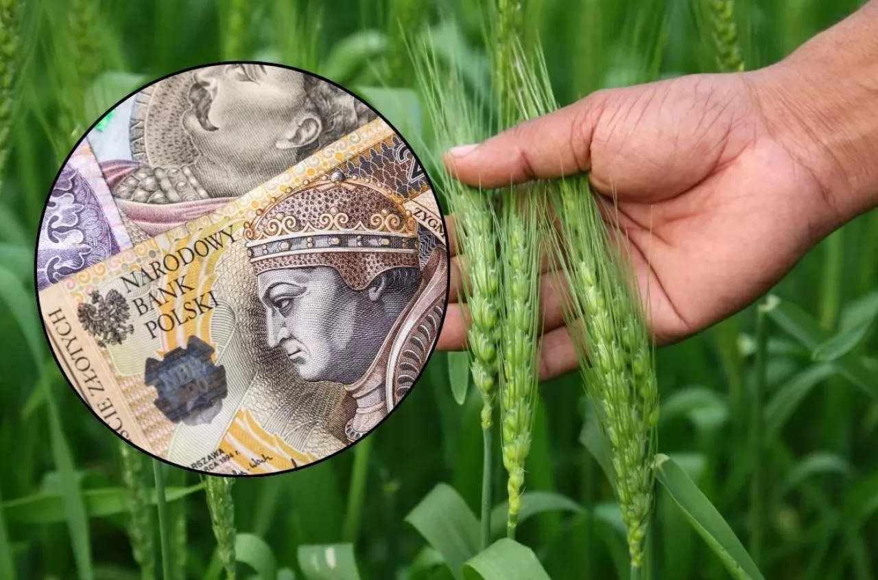 Rolnicy mają czas do 15 września. Bez tego stracą dopłaty