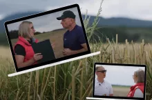 Pogotowie polowe TAP