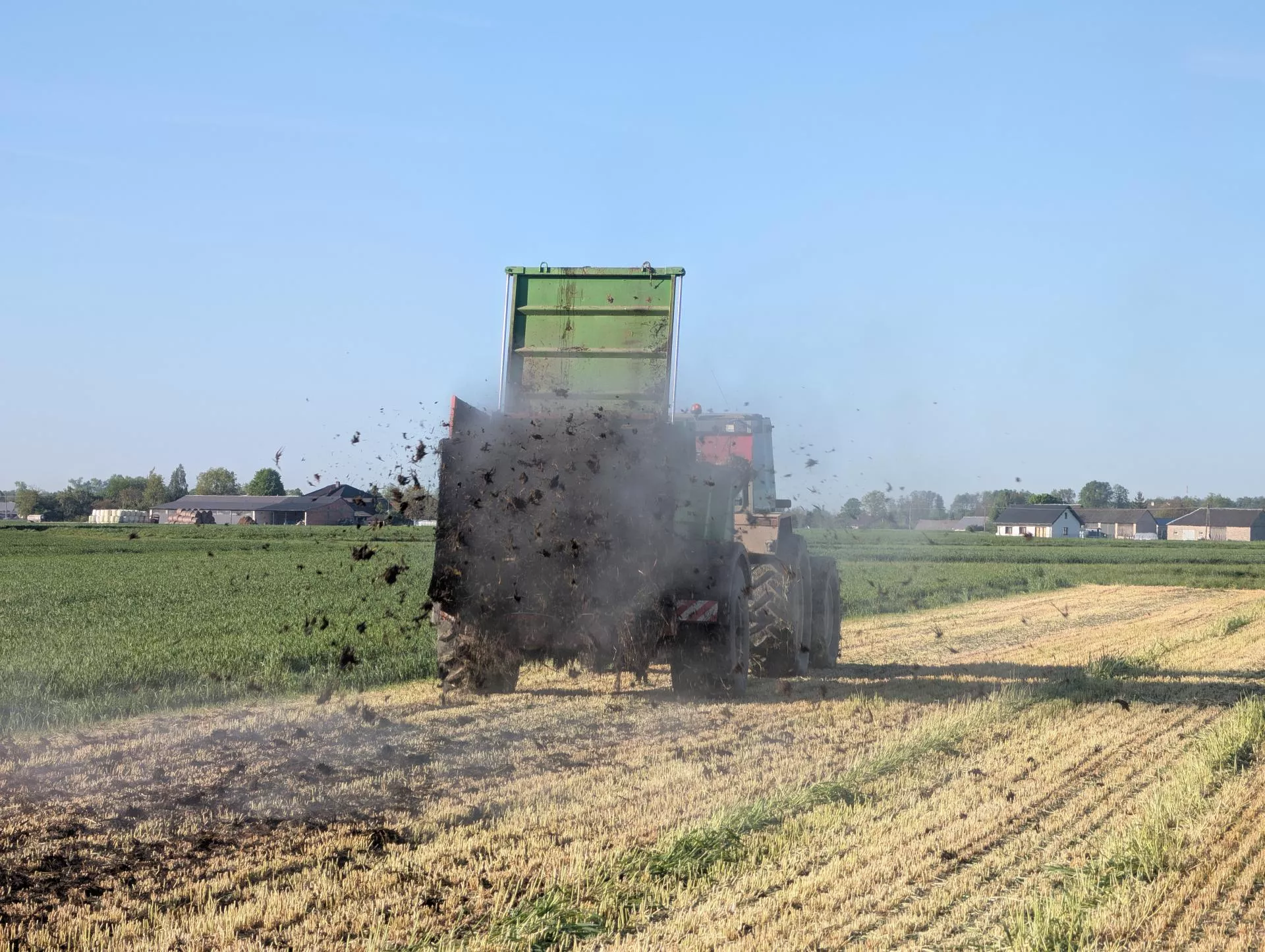 Obornik pod zboża: jaka dawka na hektar i jak głęboko przyorać?