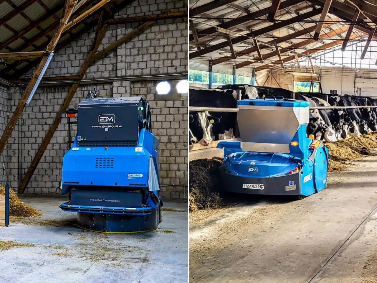 Roboty Euromilk na Agro Show. Jak Falcon i Lizard zmieniają obory?