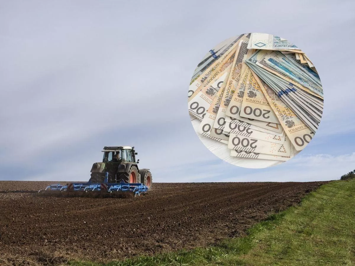 Rozwój małych gospodarstw 2025. Czy rolnik może kupić ciągnik?