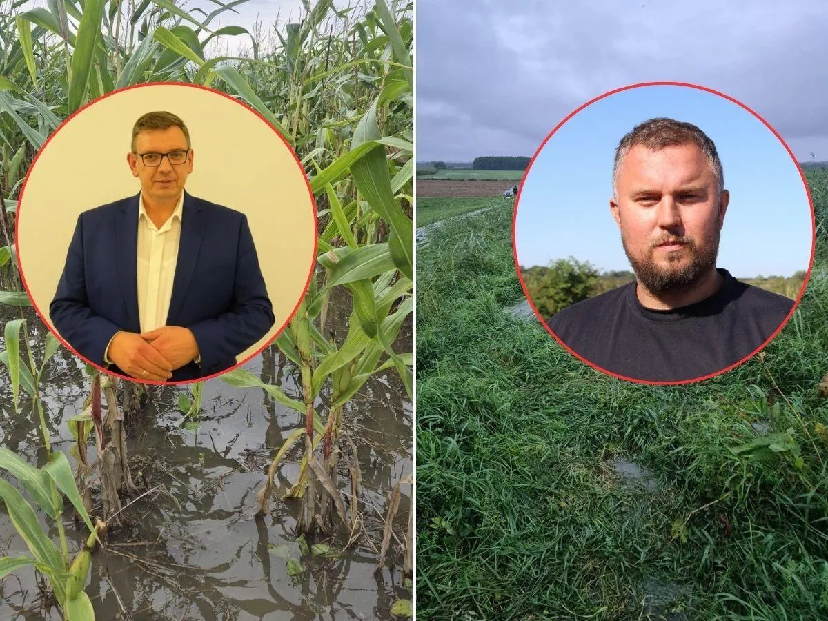 Nie zasieją ozimin, kukurydzę skoszą w grudniu. Kiedy pomoc dla rolników z Żuław?