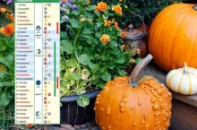 Kalendarz biodynamiczny na październik: kiedy sadzić i zbierać, by mieć lepszy plon?