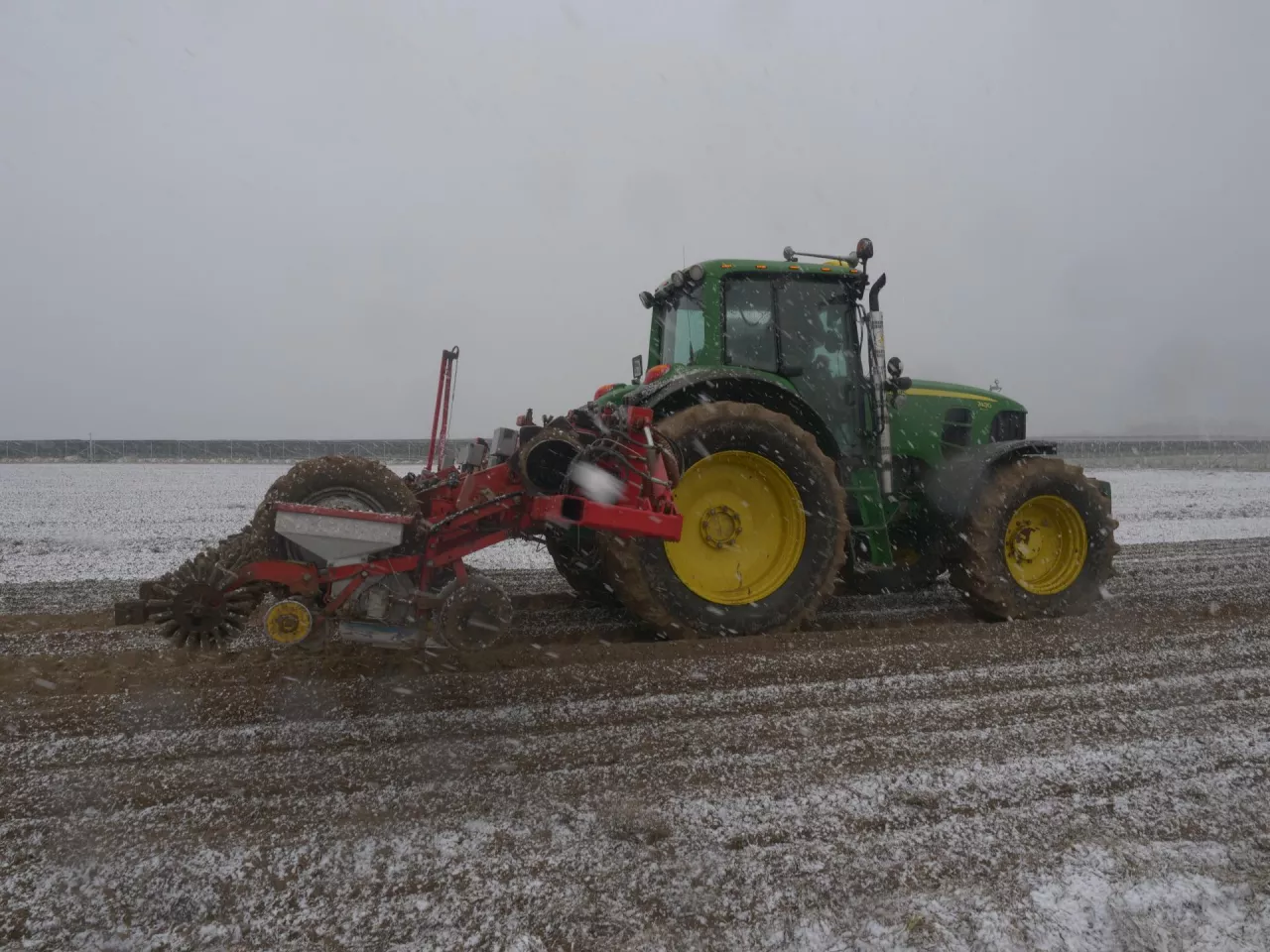 Ciągnik rolniczy w polu zimą