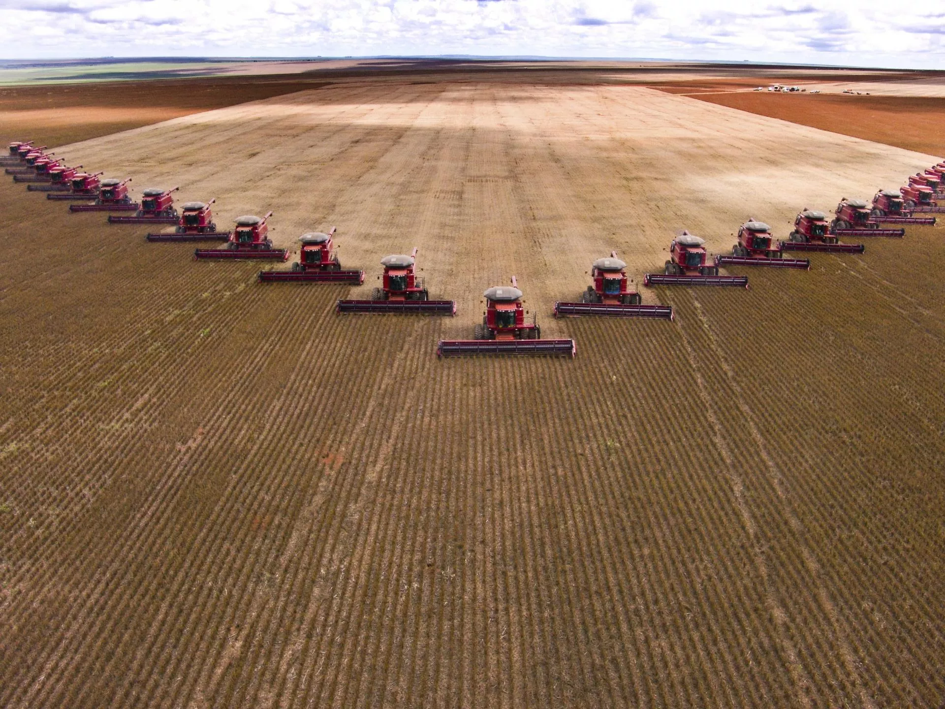 Rekordowe zbiory na Ukrainie. Pszenicy i kukurydzy będzie dużo więcej