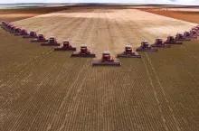 Kernel to największy holding rolniczy na Ukrainie. Uprawia ok. 600 tysięcy hektarów ziemi