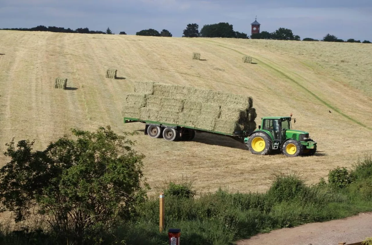 Ile ziemi ma przeciętny rolnik w Polsce? ARiMR podała najnowsze dane