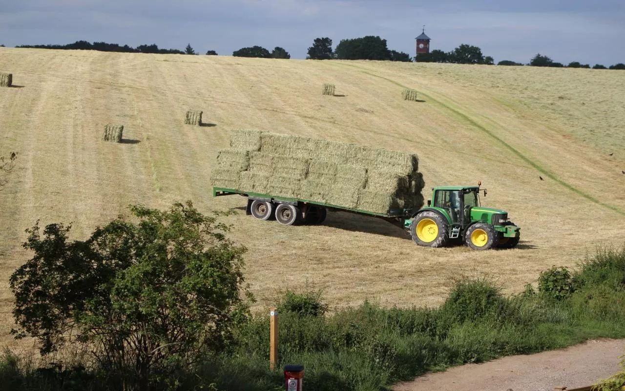 Traktor ciągnie przyczepę załadowaną belami siana na zboczach pola. W tle widać wieżę zegarową.