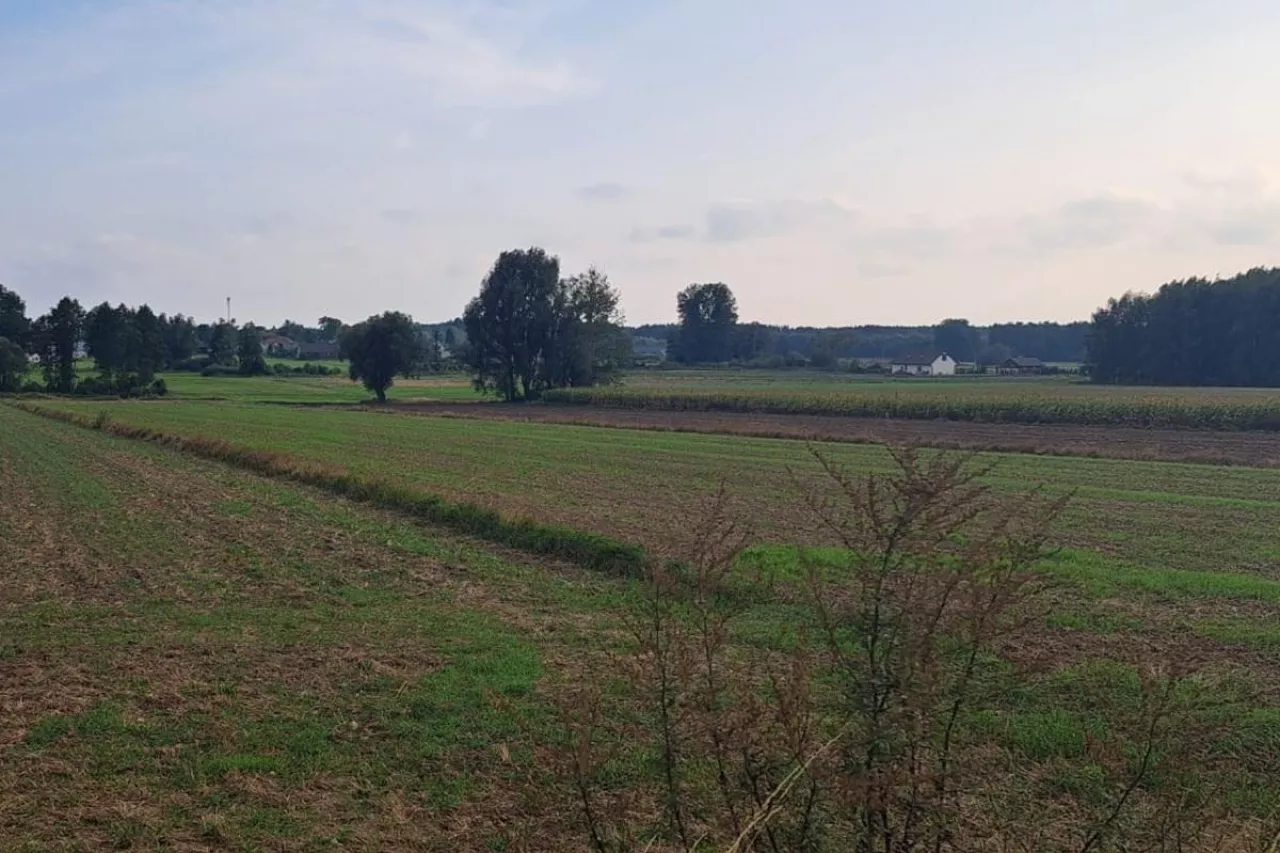 Gospodarstwa dotknięte kłopotami finansowymi będą mogły ubiegać się o pomoc finansową.