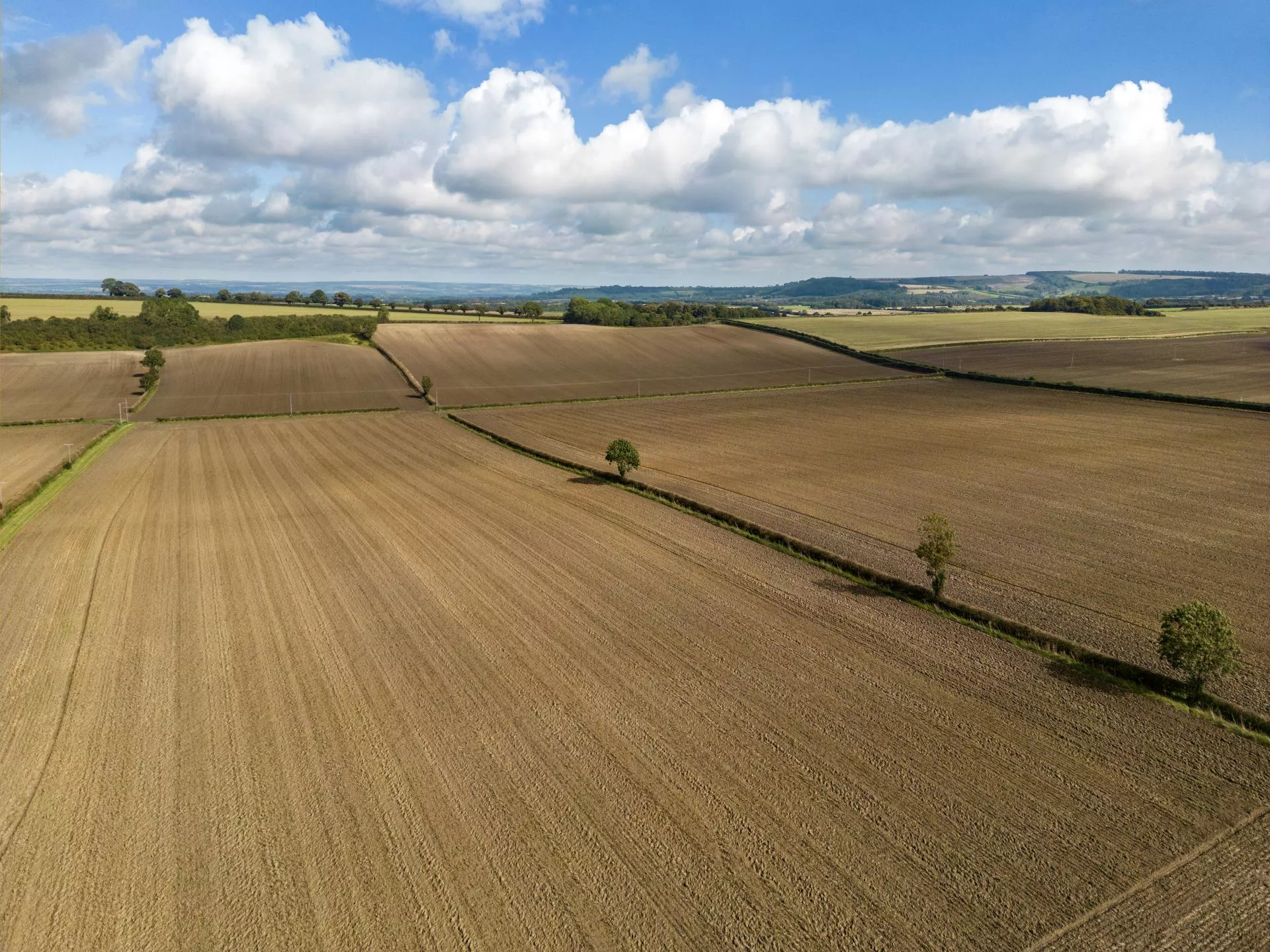 Młody rolnik chce kupić ziemię. KOWR może powiedzieć „nie”?