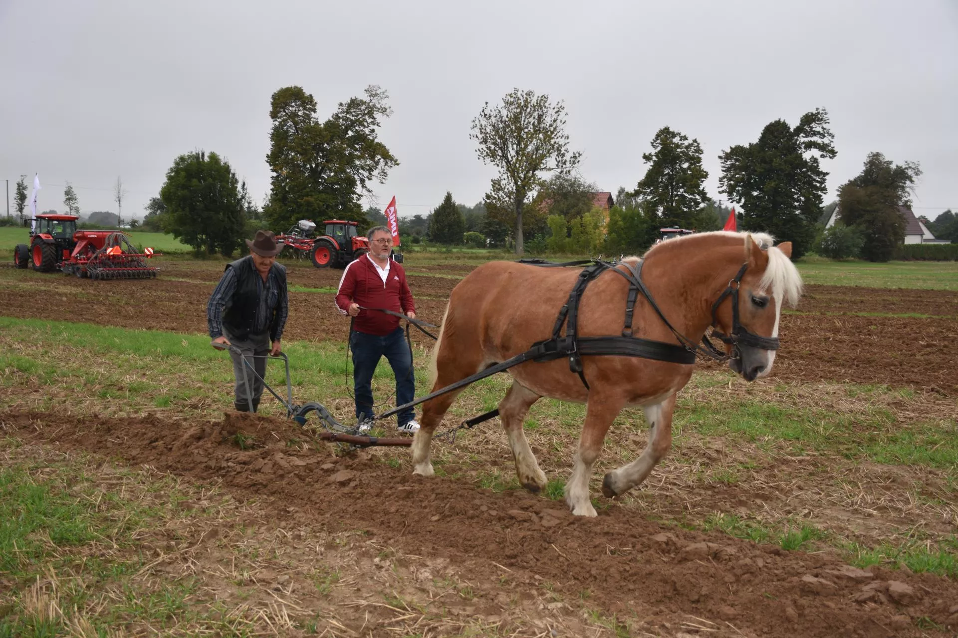 Rolnictwo 1.0 na zawodach. Tak się kiedyś orało