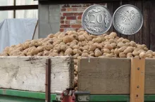 wóz z ziemniakami, po prawej na górze trzydzieści groszy