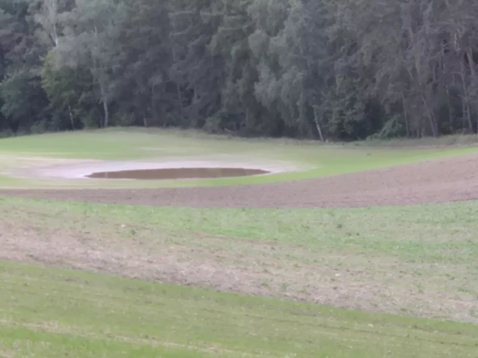 Jak idą siewy ozimin? Raport z regionów