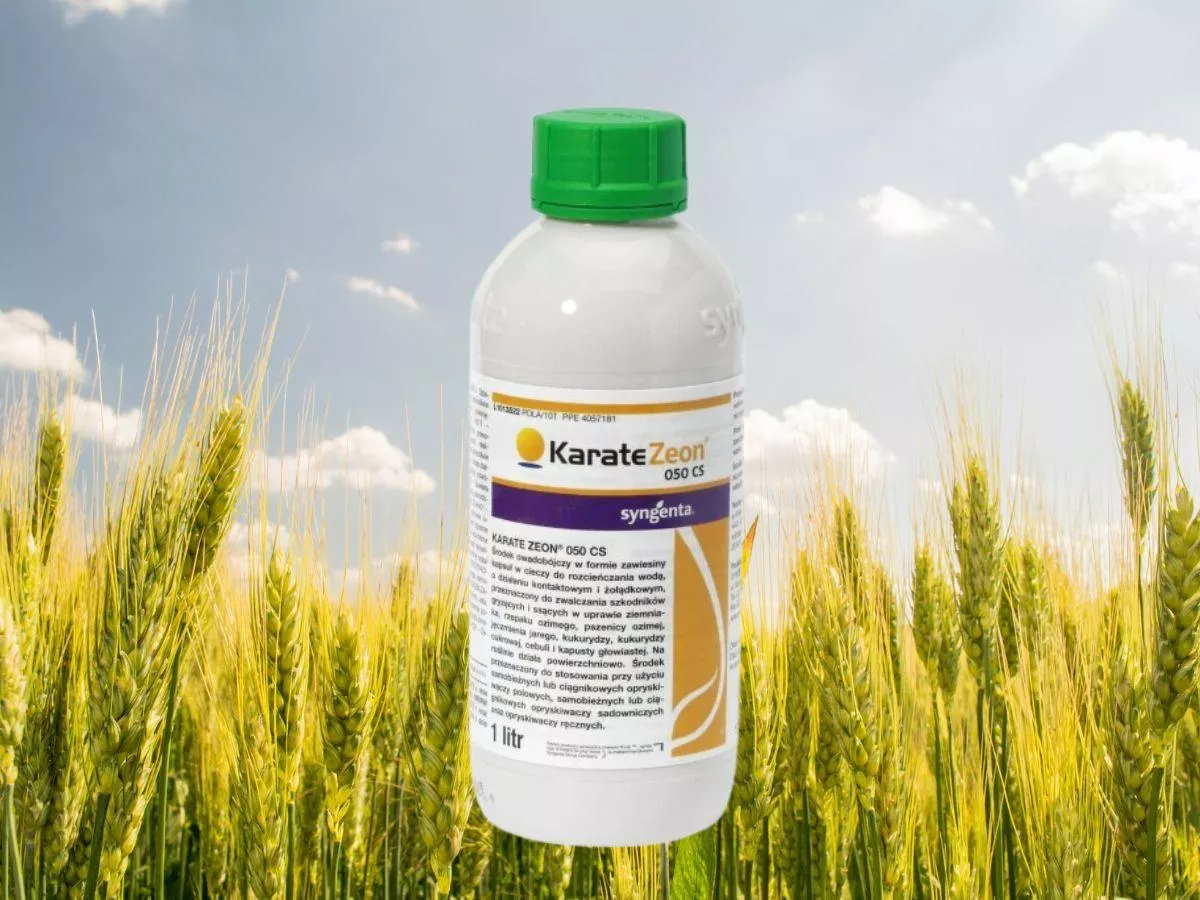 Mszyce atakują jęczmień ozimy. Rolnicy dostali zielone światło - to artykuł Karate Zeon 050 CS na mszyce w jęczmieniu