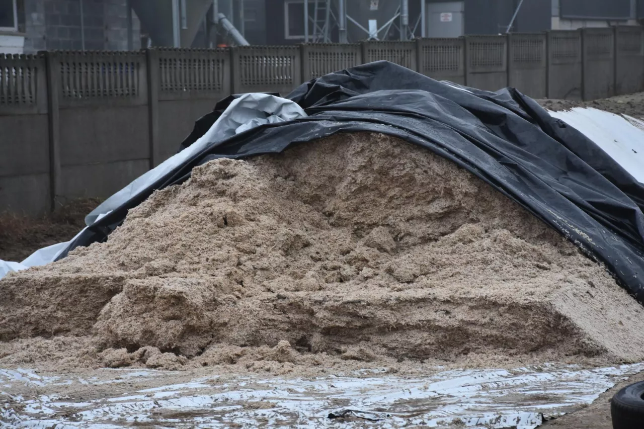 Ważną pasza dla Gruszczyńskich są wysłodki buraczane, które nadają odpowiednią wilgotność i smakowitość dawce TMR, ponadto działają na zasadzie lepiszcza w stosunku do pasz treściwych, co zapobiega ich selekcji
