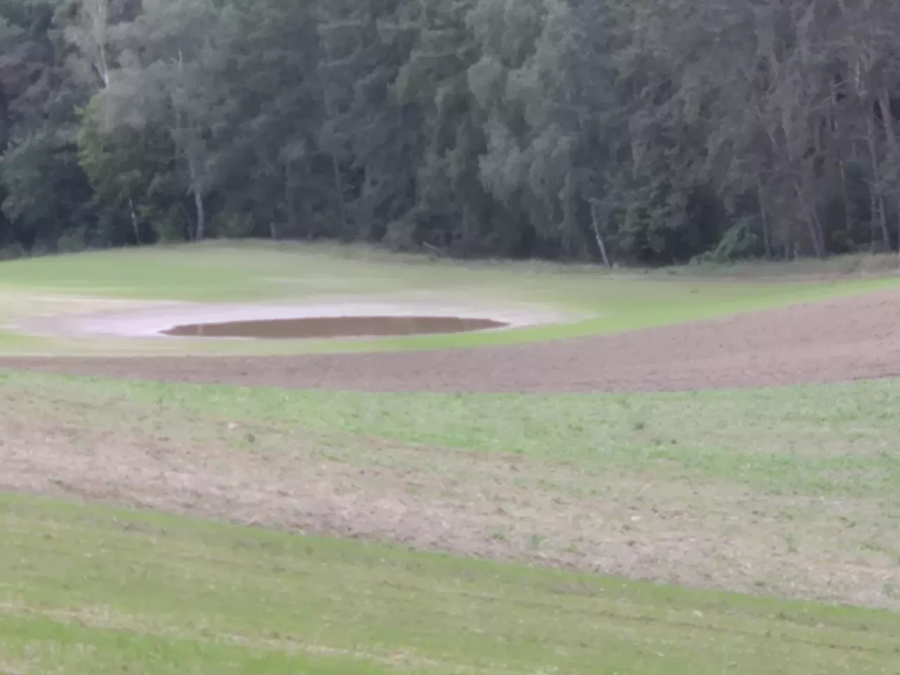 Jak idą siewy ozimin? Raport z regionów