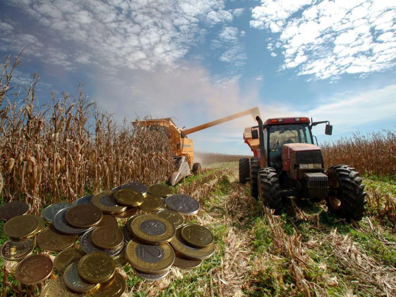 Dochód z 1 ha przeliczeniowego bardzo wysoki mimo kryzysu