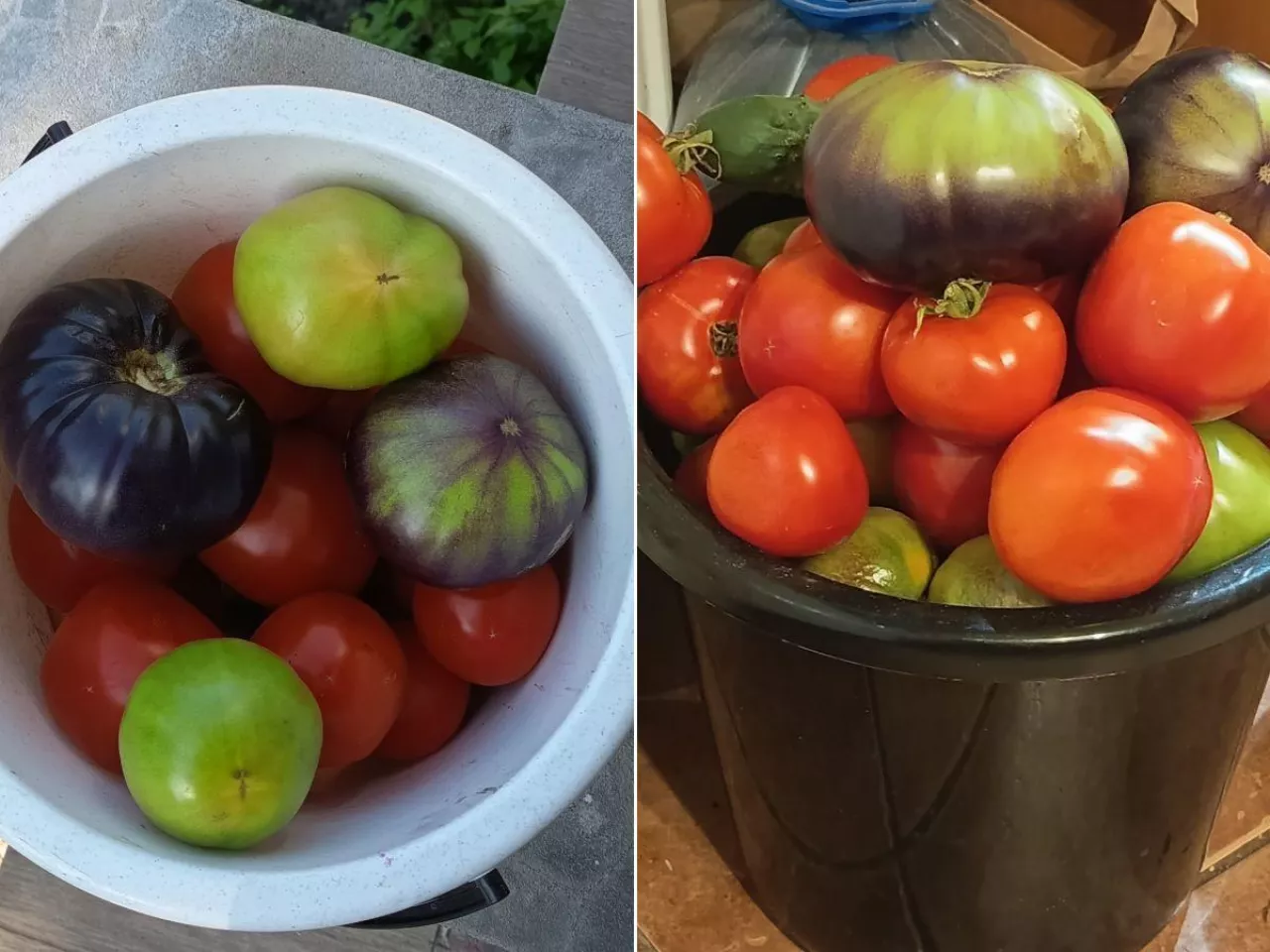 Nie przegap terminu zbioru. Kiedy wykopać warzywa, żeby dobrze się przechowały?