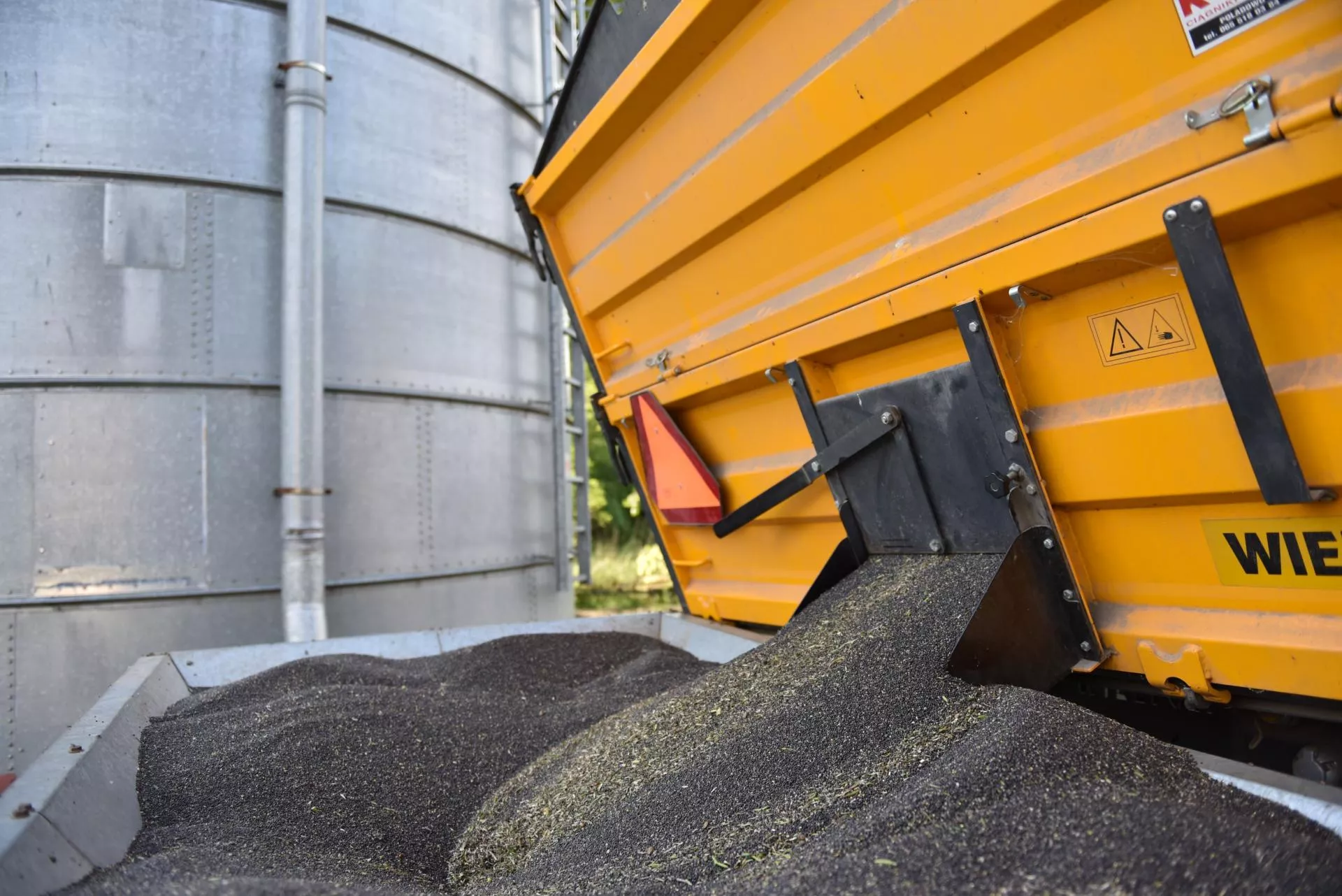 Jakie będą ceny rzepaku na koniec 2025 i 2026 roku? Najnowsza PROGNOZA