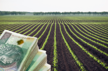 pole, po lewej u dołu banknoty