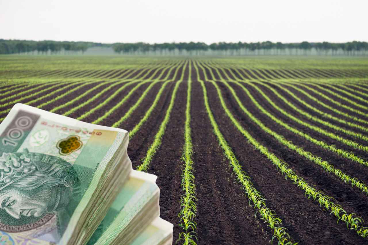 pole, po lewej u dołu banknoty