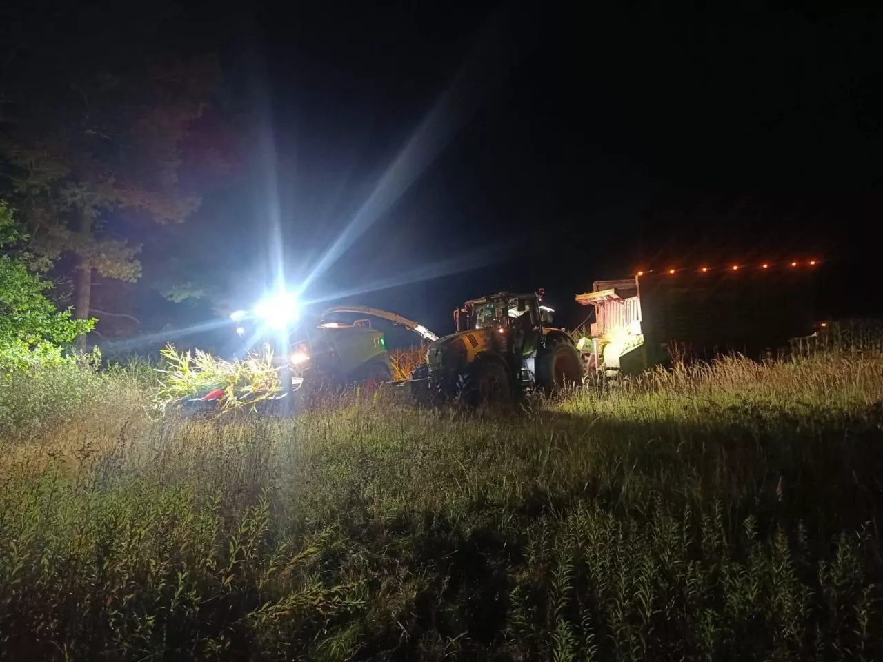 Sieczkarnia oraz ciągnik rolniczy z przyczepą podczas nocnych prac polowych na polu kukurydzy