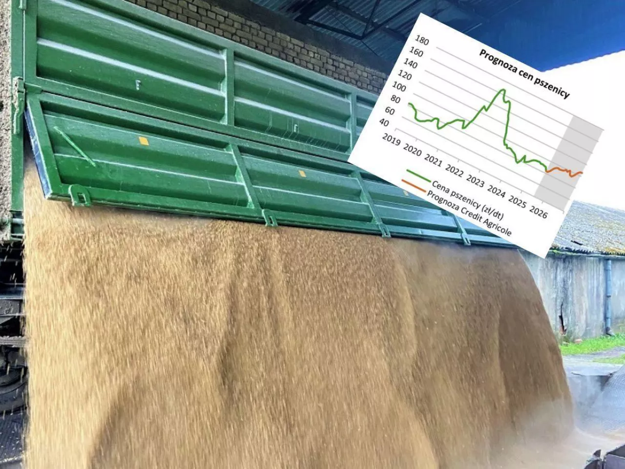Prognoza cen pszenicy i kukurydzy