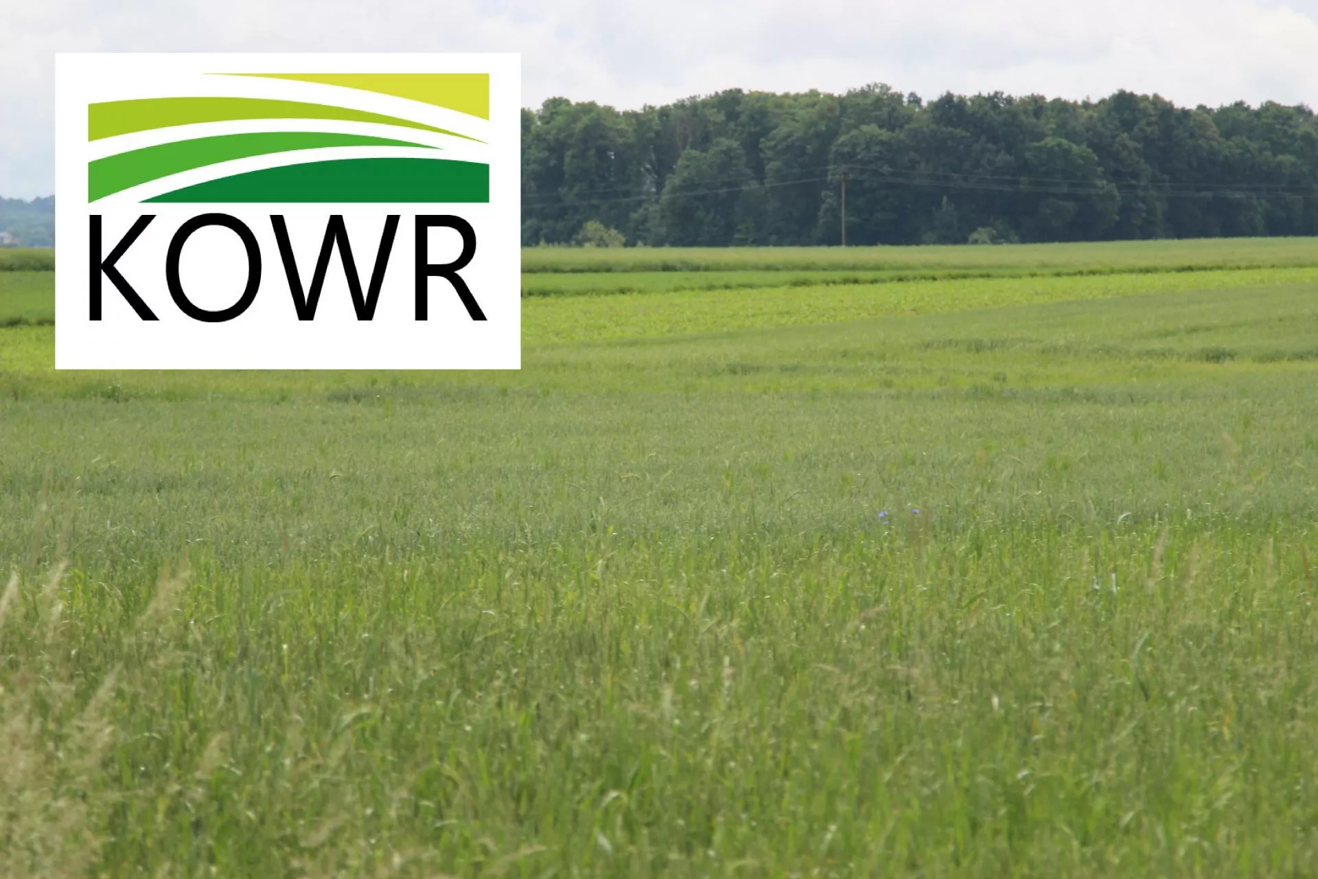 Czynsz dzierżawny w górę. Ile ziemi KOWR ma jeszcze do rozdysponowania?