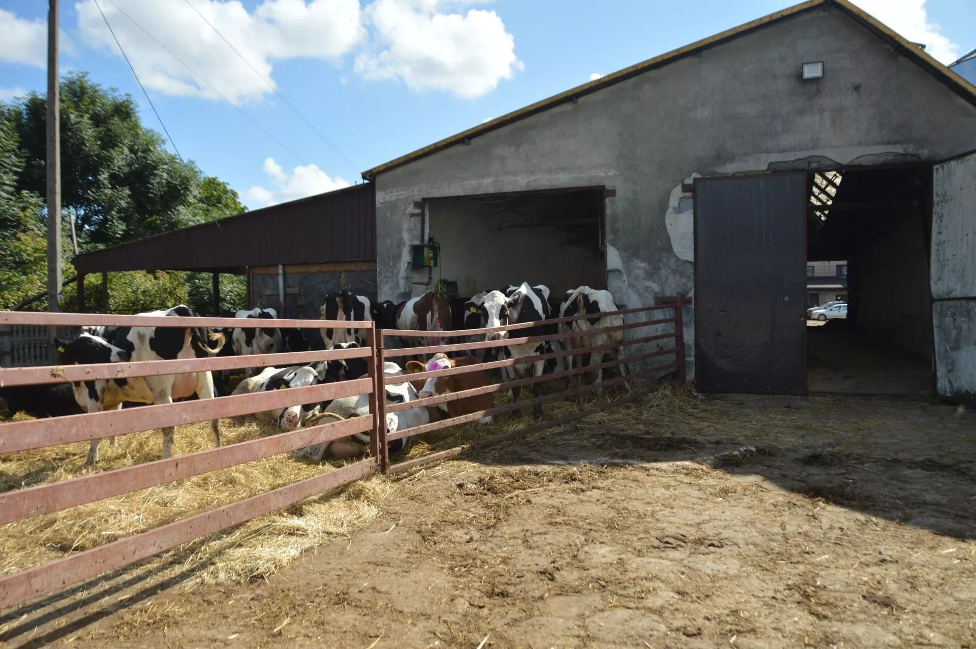 Donosy niszczą rolników. ARiMR wysyła kontrole do gospodarstw