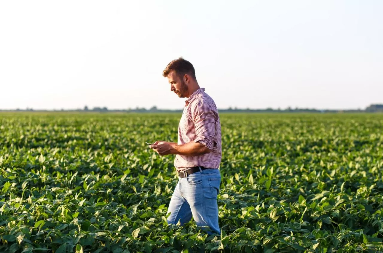 Dzierżawisz ziemię? Sprawdź, czy możesz zostać rolnikiem indywidualnym