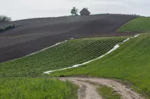 droga polna pośłrd łąk