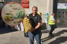 Rozsypali niemieckie ziemniaki w ministerstwie