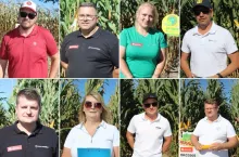 Nowe odmiany kukurydzy zachwyciły rolników. ”Widać różnicę gołym okiem”