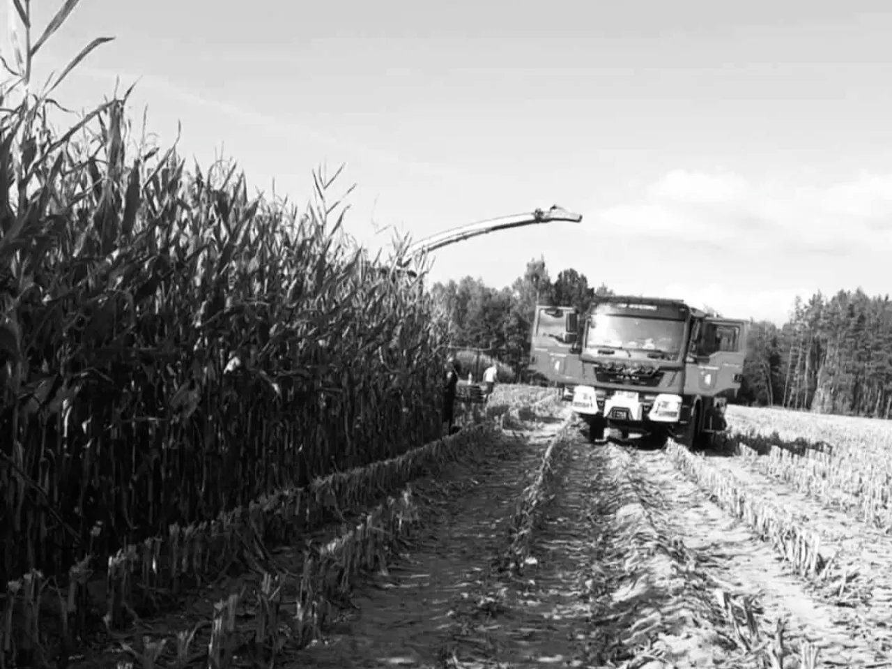 Czarno-białe zdjęcie przedstawiające sieczkarnię i wóz strażacki