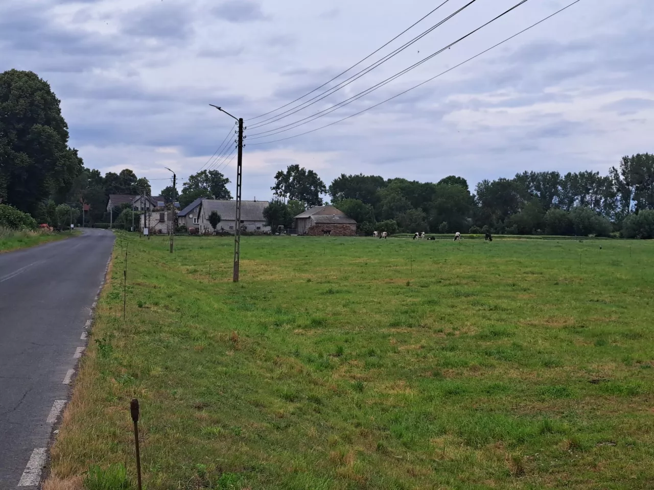 gospodarstwo rolne i droga