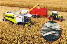 zbiór kukurydzy na polu, banknoty po prawej u dołu