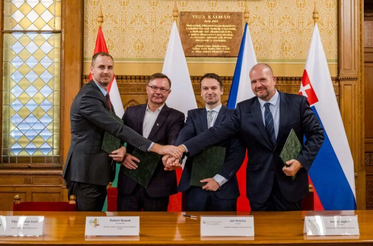 Rolnicy mówią "STOP". UE chce im zabrać połowę pieniędzy