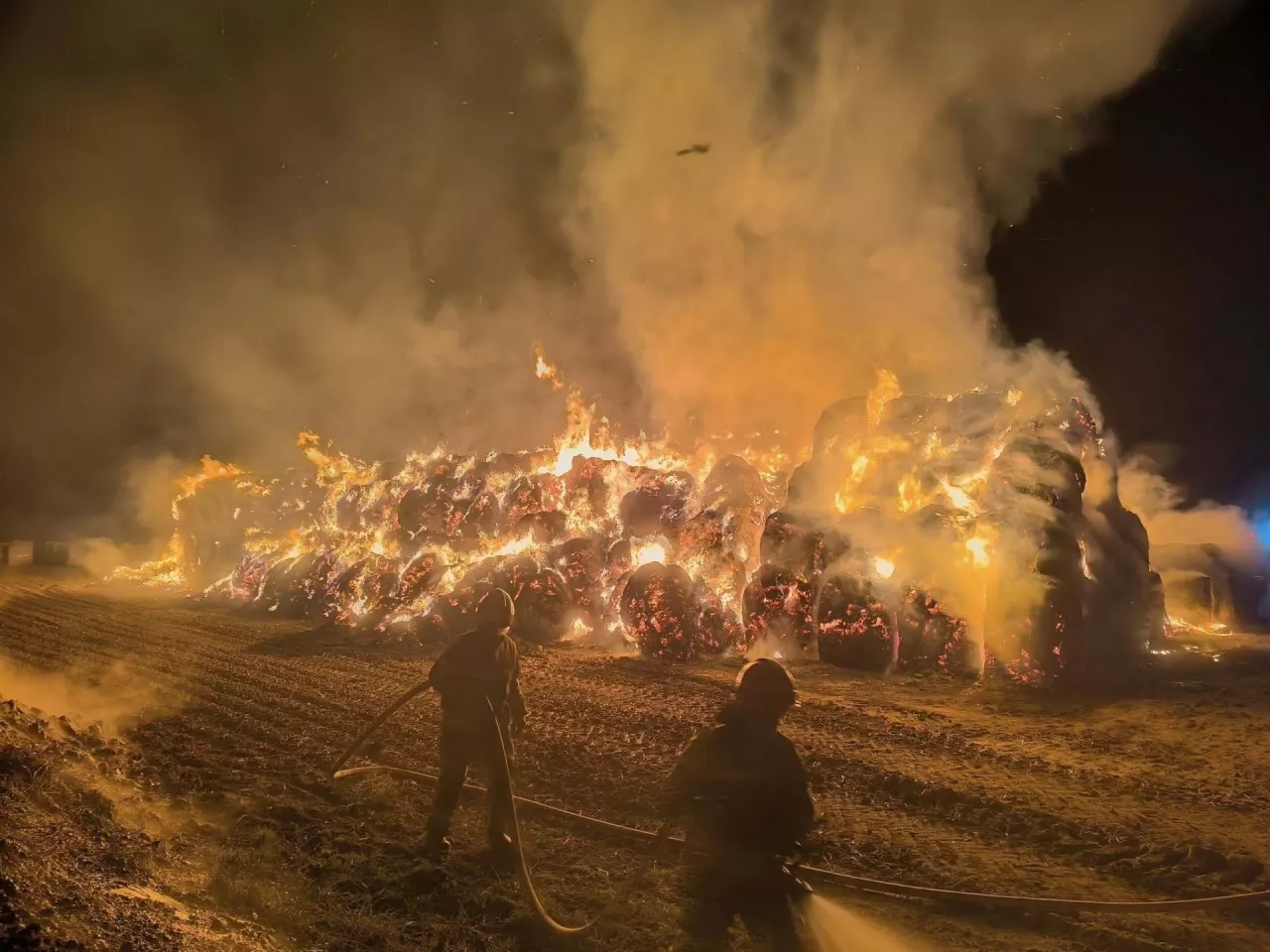 Strażacy w godzinach wieczornych walczą z pożarem balotów na polu