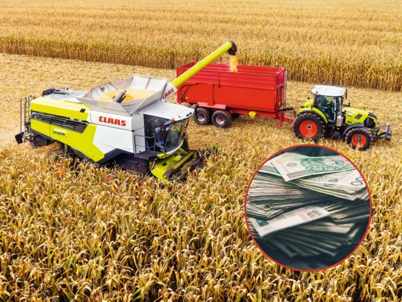 zbiór kukurydzy na polu, banknoty po prawej u dołu