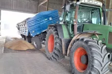 skup zbóż i rzepaku w Elewarr 