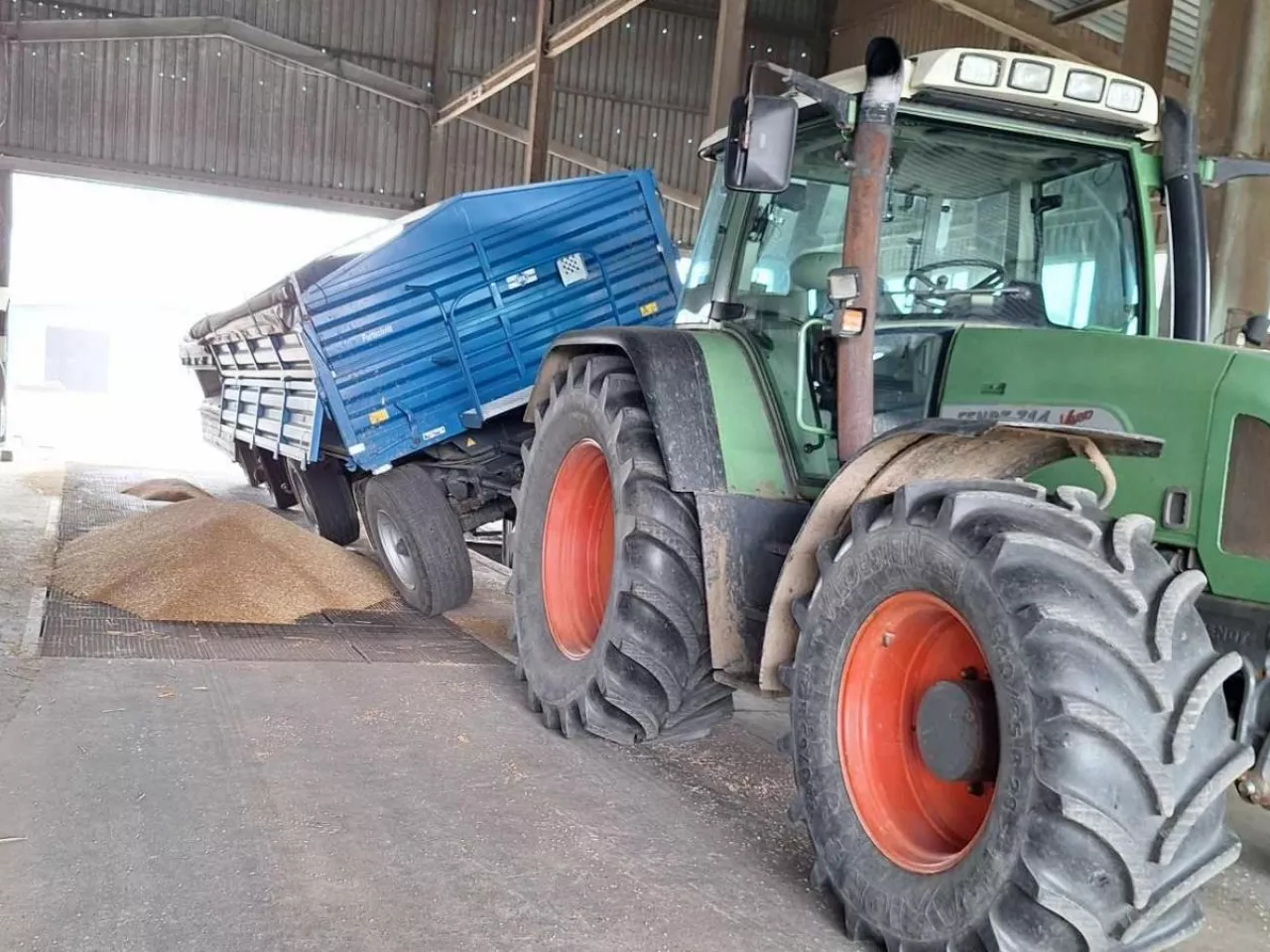 skup zbóż i rzepaku w Elewarr 