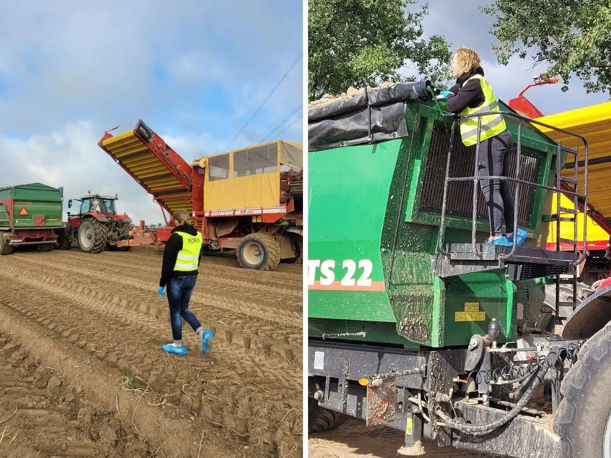 Inspektorzy wchodzą na pola rolników. Co sprawdzają?