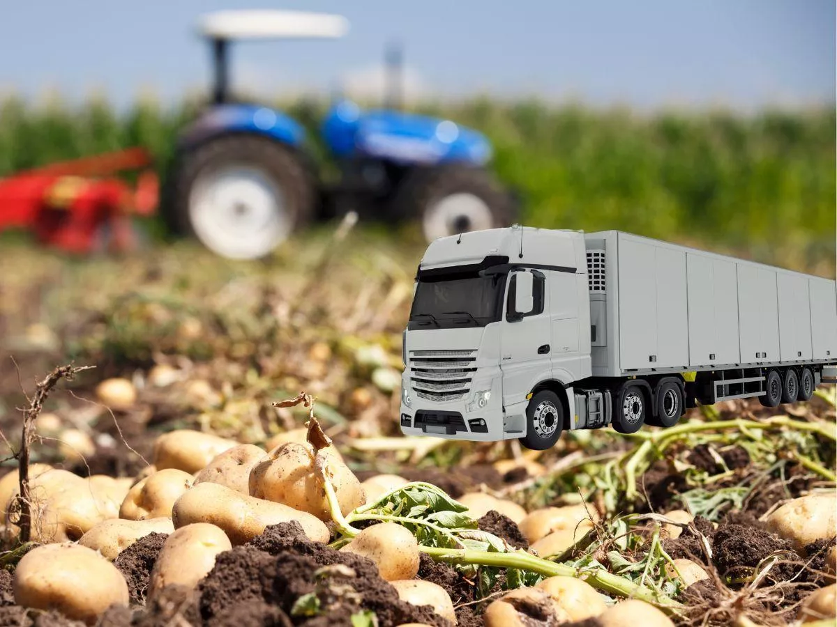 Ziemniaki po 5 groszy za kilo. Czy rząd pomoże rolnikom?
