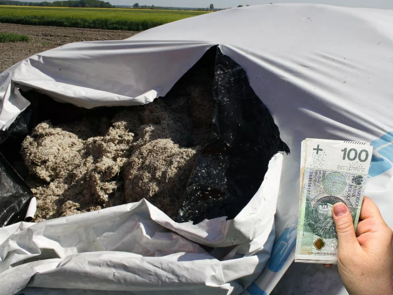 Jakie są ceny wysłodków buraczanych? Sprawdź aktualne stawki w regionach