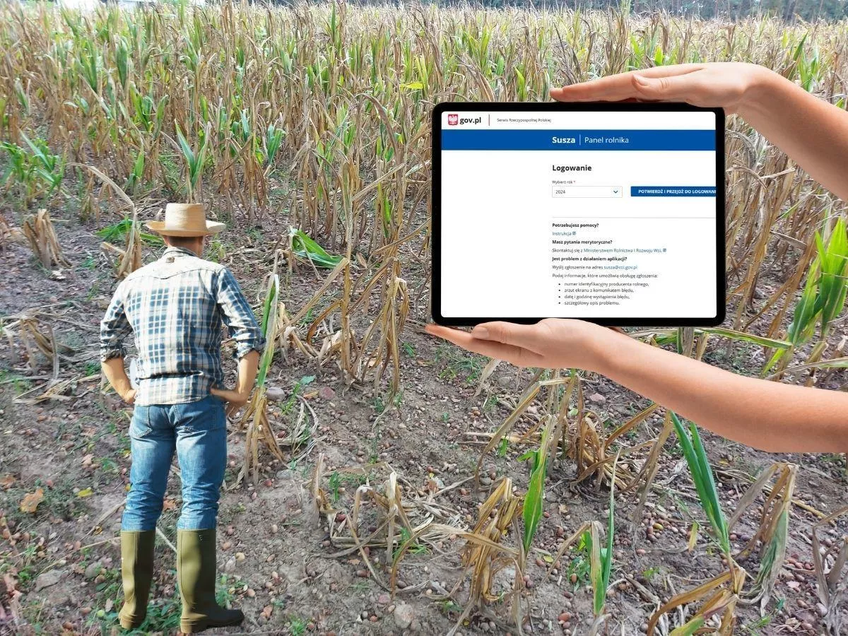 Aplikacja suszowa czy pułapka? „Bez profilu zaufanego jesteśmy wykluczeni”