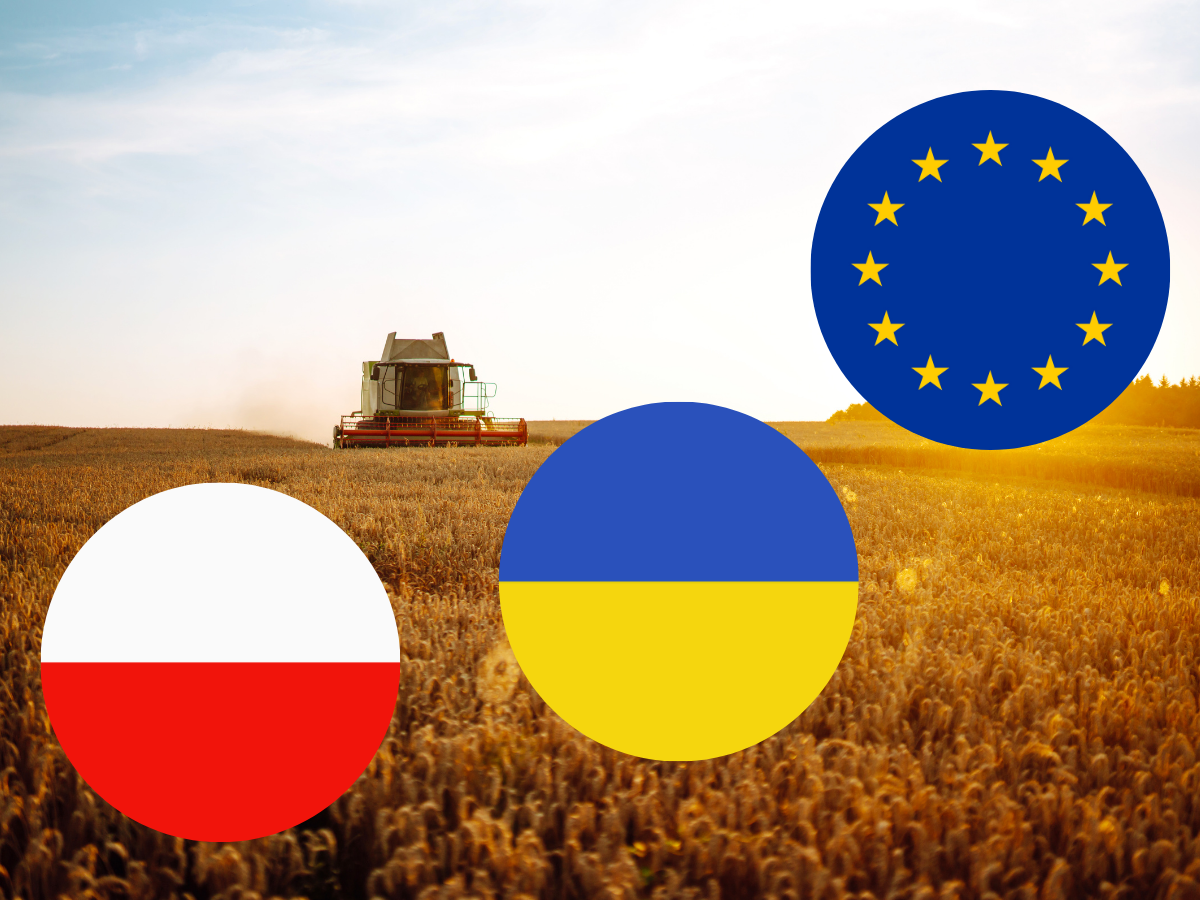 Tańsze zboże z Ukrainy i presja na ceny. Co czeka polskich rolników?