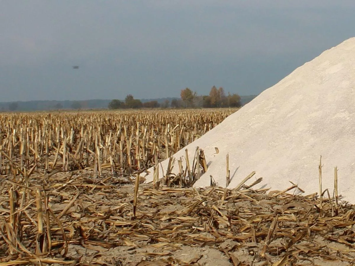 Wapnowanie jesienią się opłaca. Zobacz, dlaczego warto to zrobić