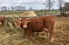 Paśnik z sianem i słomą